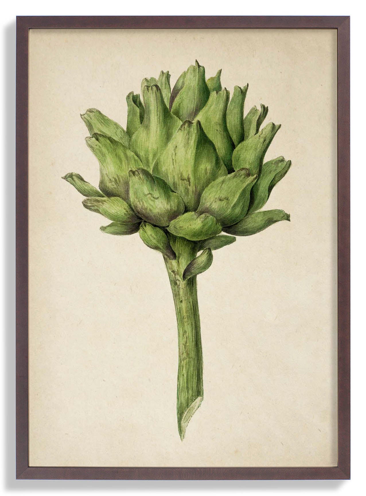 Antique Artichoke