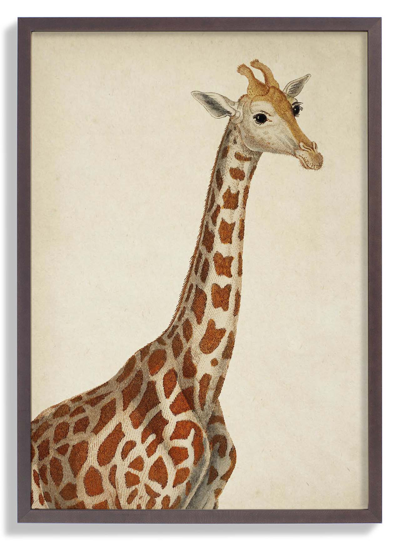 Antique Giraffe