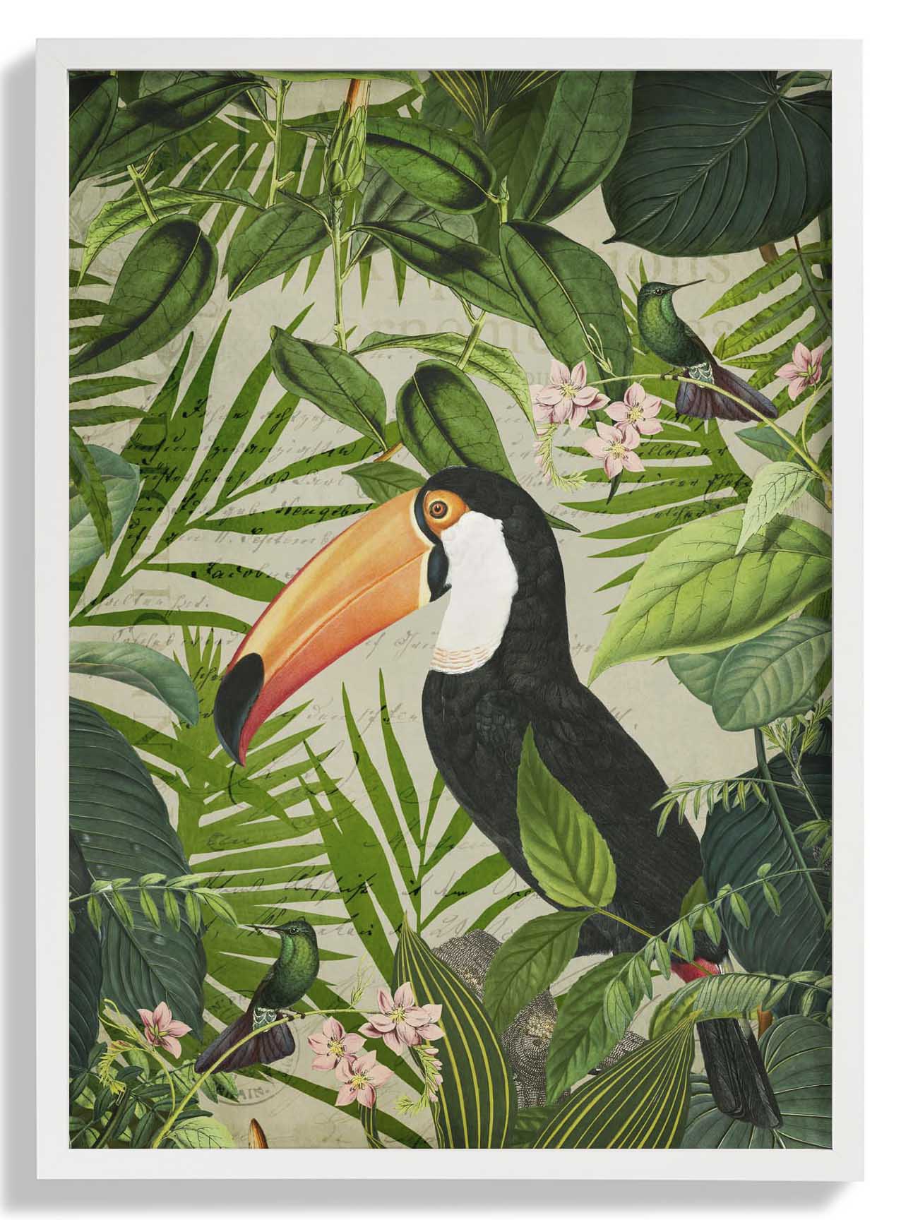 Jungle Toucan by Andrea Haase