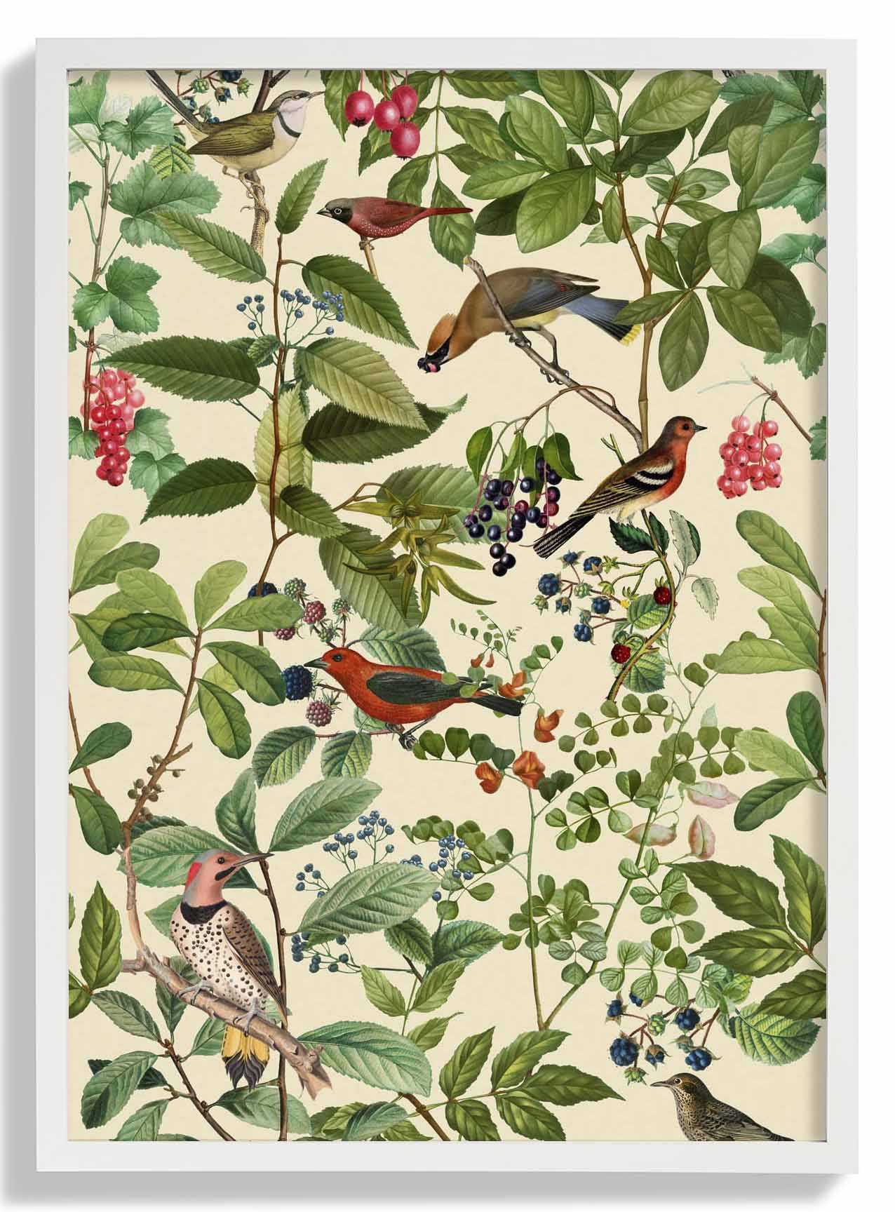 Birds And Berries by Andrea Haase