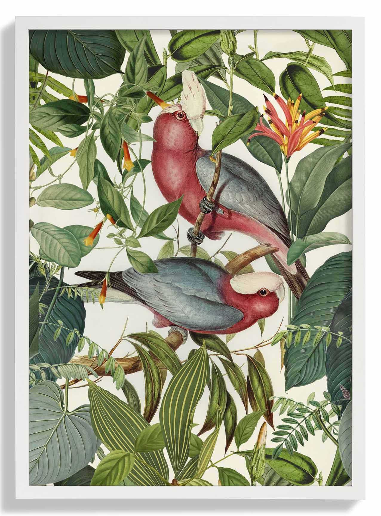 Tropische Sittiche von Andrea Haase