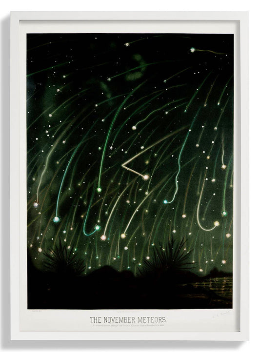 November Meteore von Trouvelot Astronomisches Poster