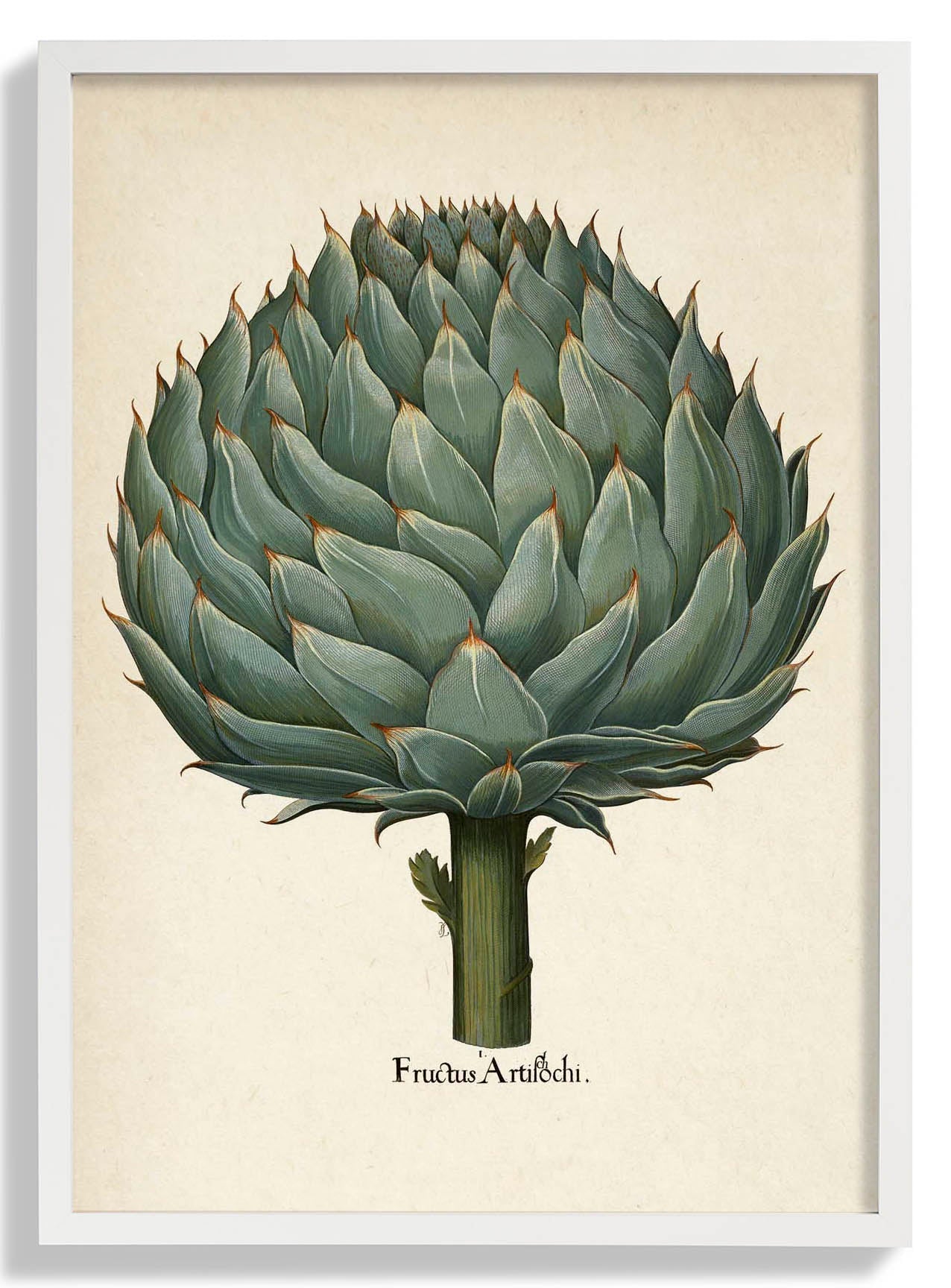 Artichoke