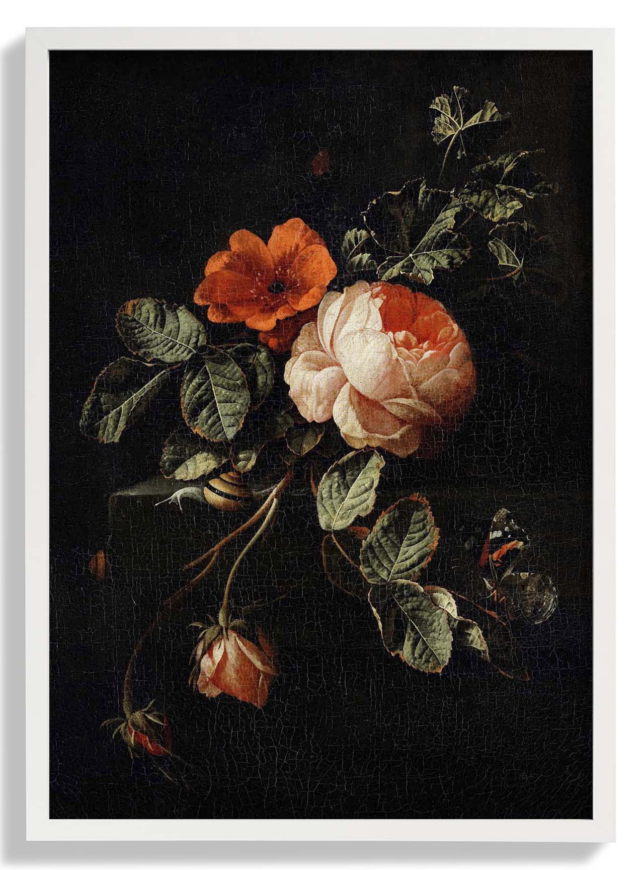 Rosen von van den Broeck Botanisches Poster