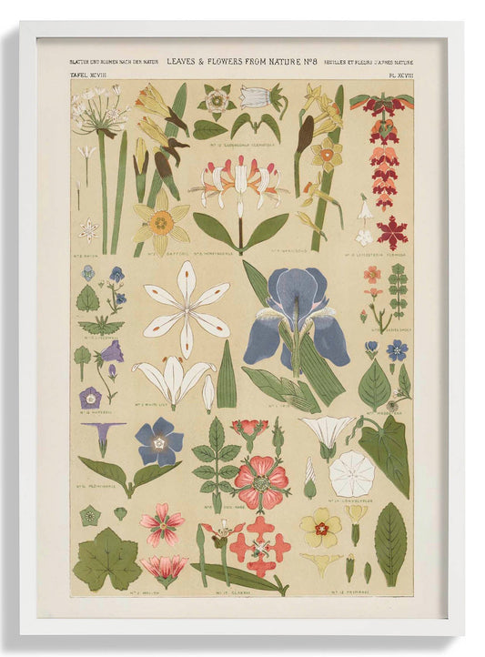 Leaves & Flowers Nr 8 by Owen Jones