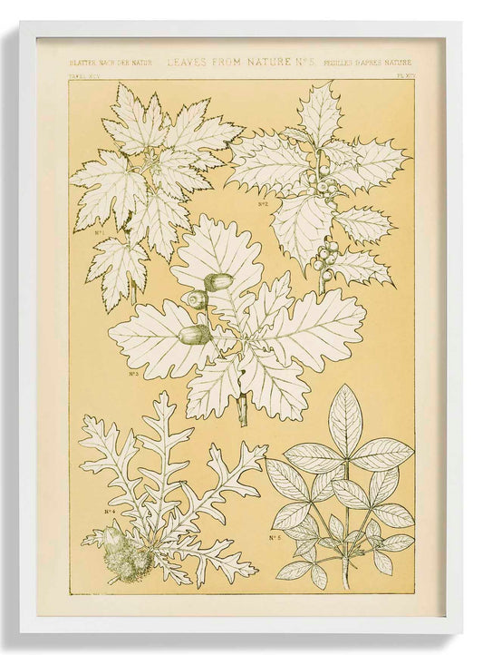 Blätter aus der Natur Nr. 5 von Owen Jones