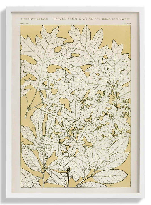Blätter aus der Natur Nr. 4 von Owen Jones