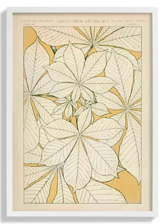 Blätter aus der Natur Nr. 1 von Owen Jones