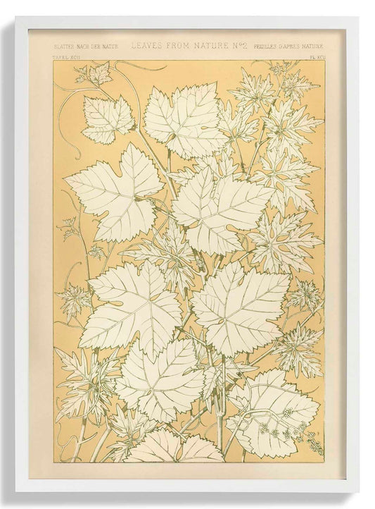 Blätter aus der Natur Nr. 2 von Owen Jones