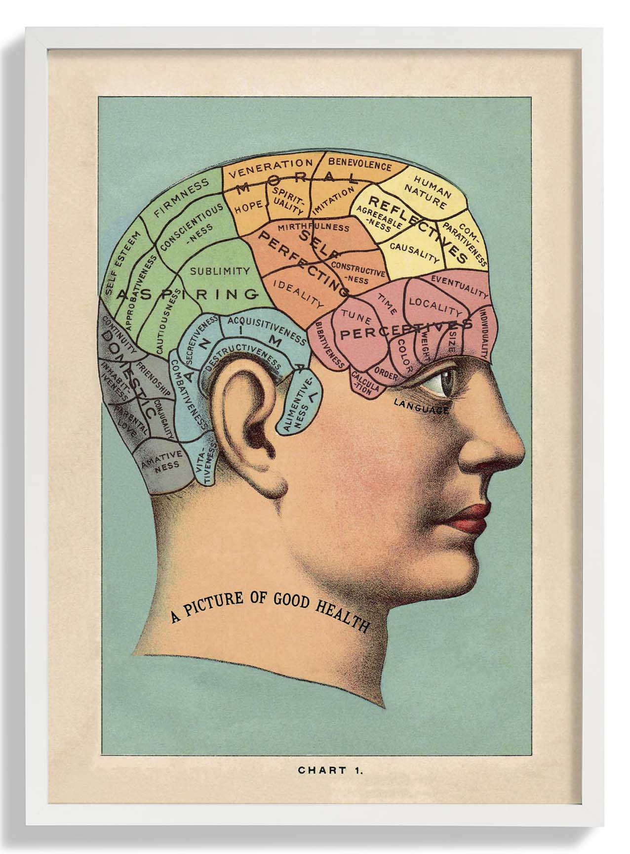 A picture of the good health