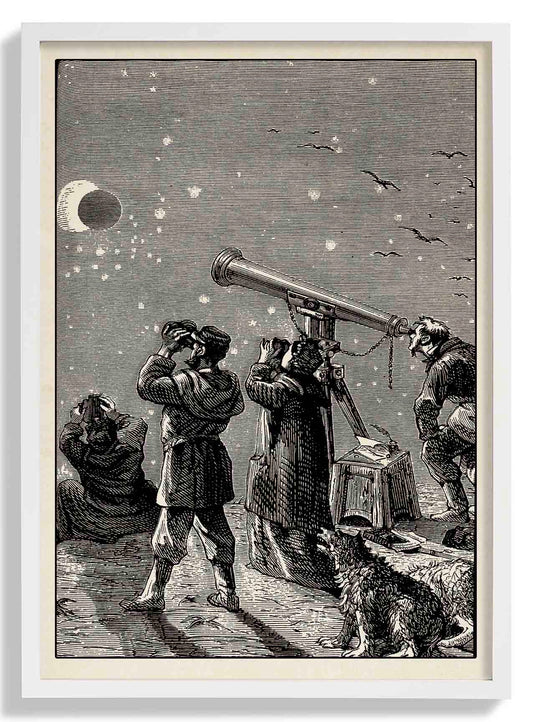 Curious People - Vintage