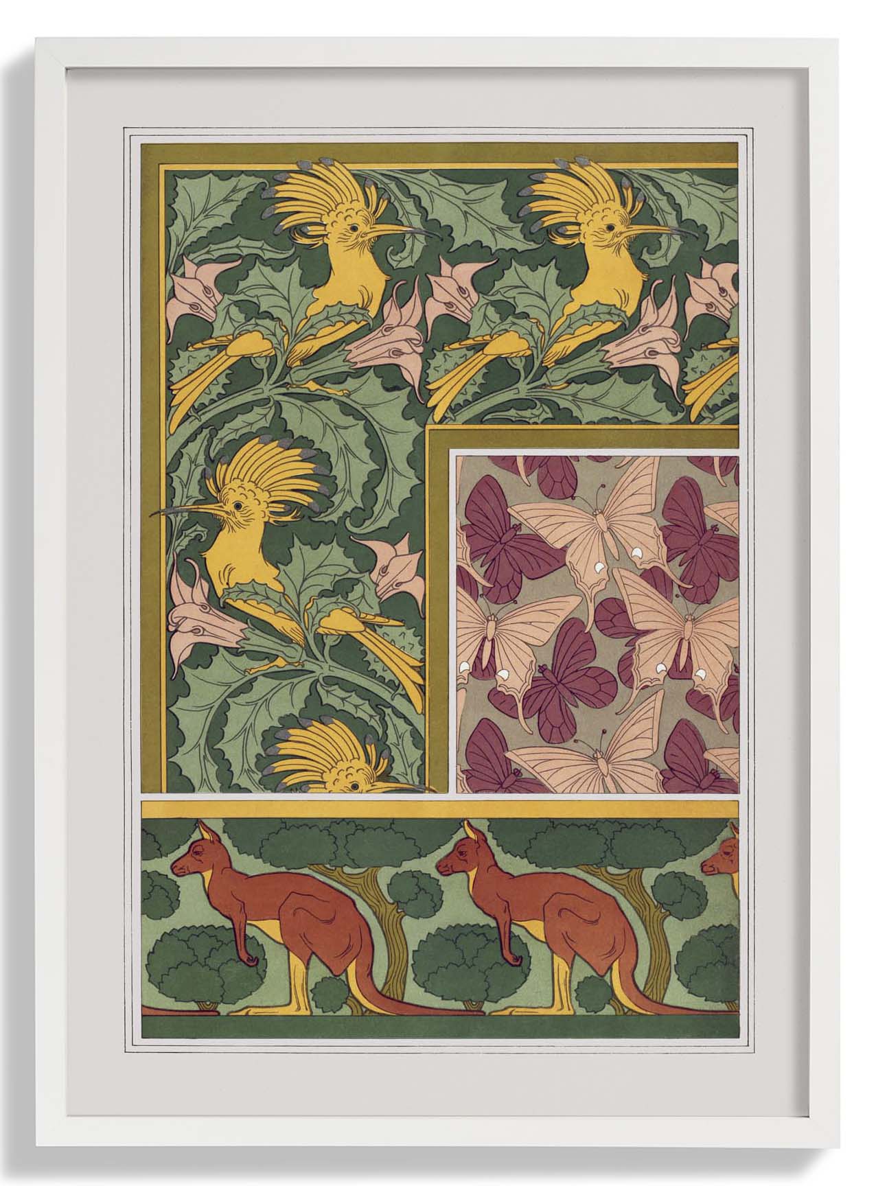 Butterflies, Birds and Kangaroos