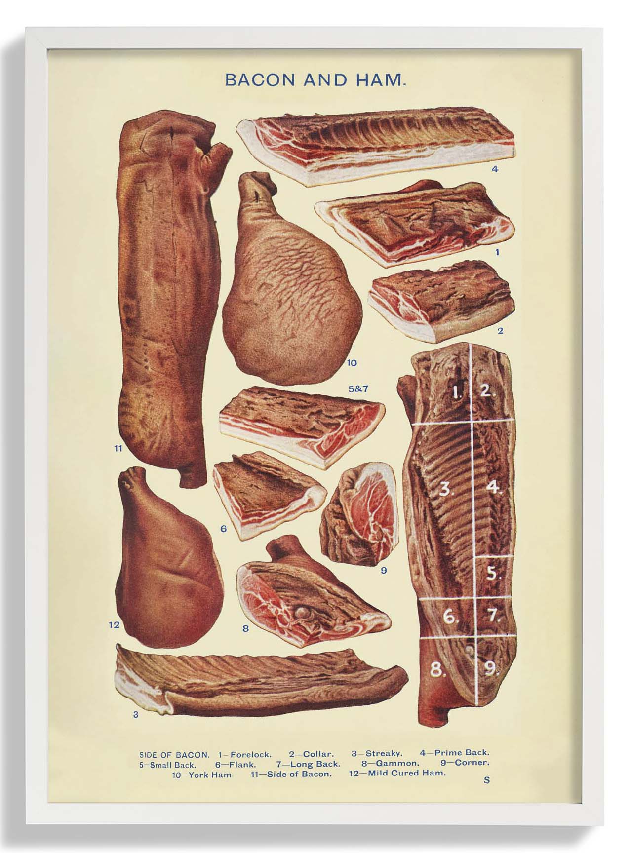 Bacon & Ham from Mrs. Beeton's Household Management