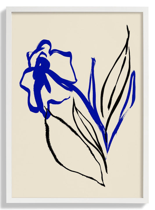 Blue and Black lines