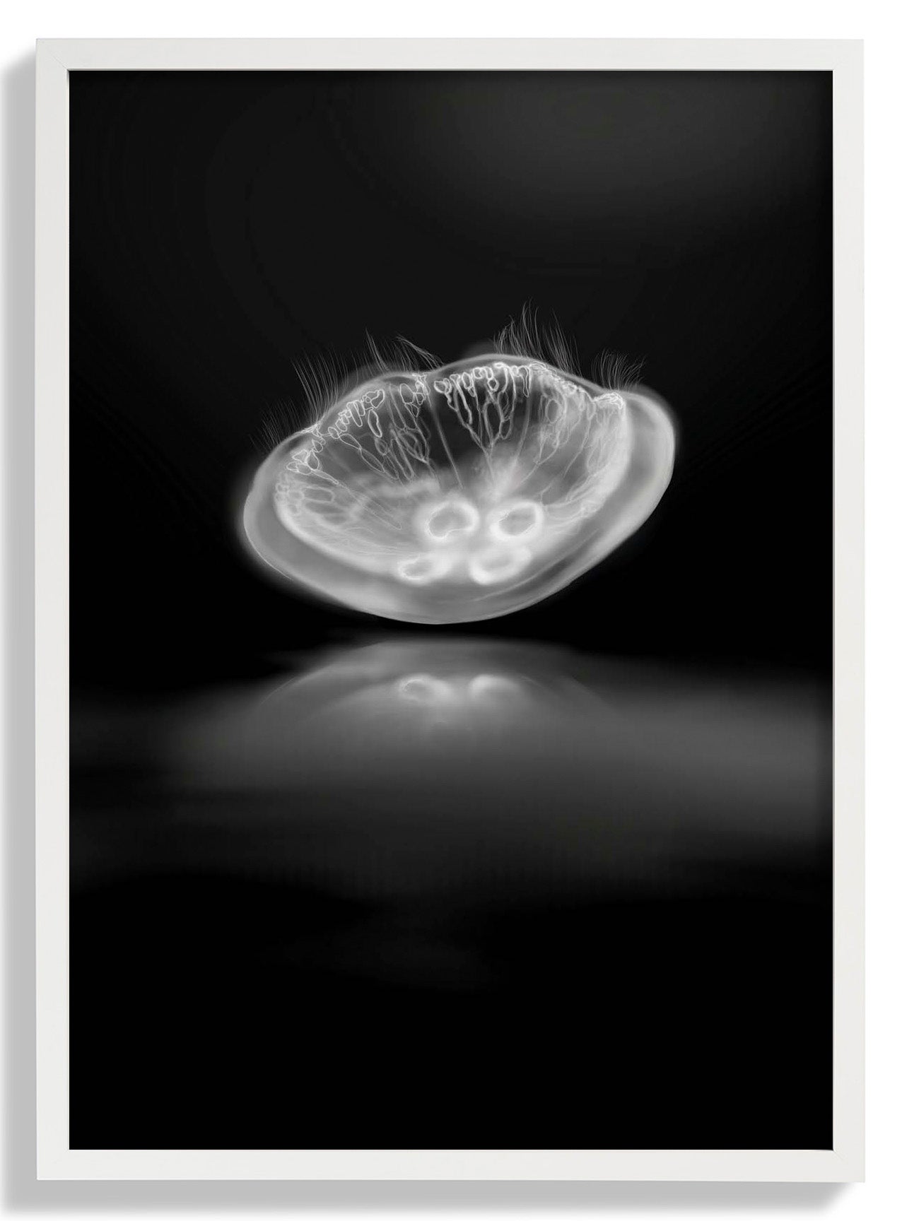 Monochrome Mirror by Julia Charlott