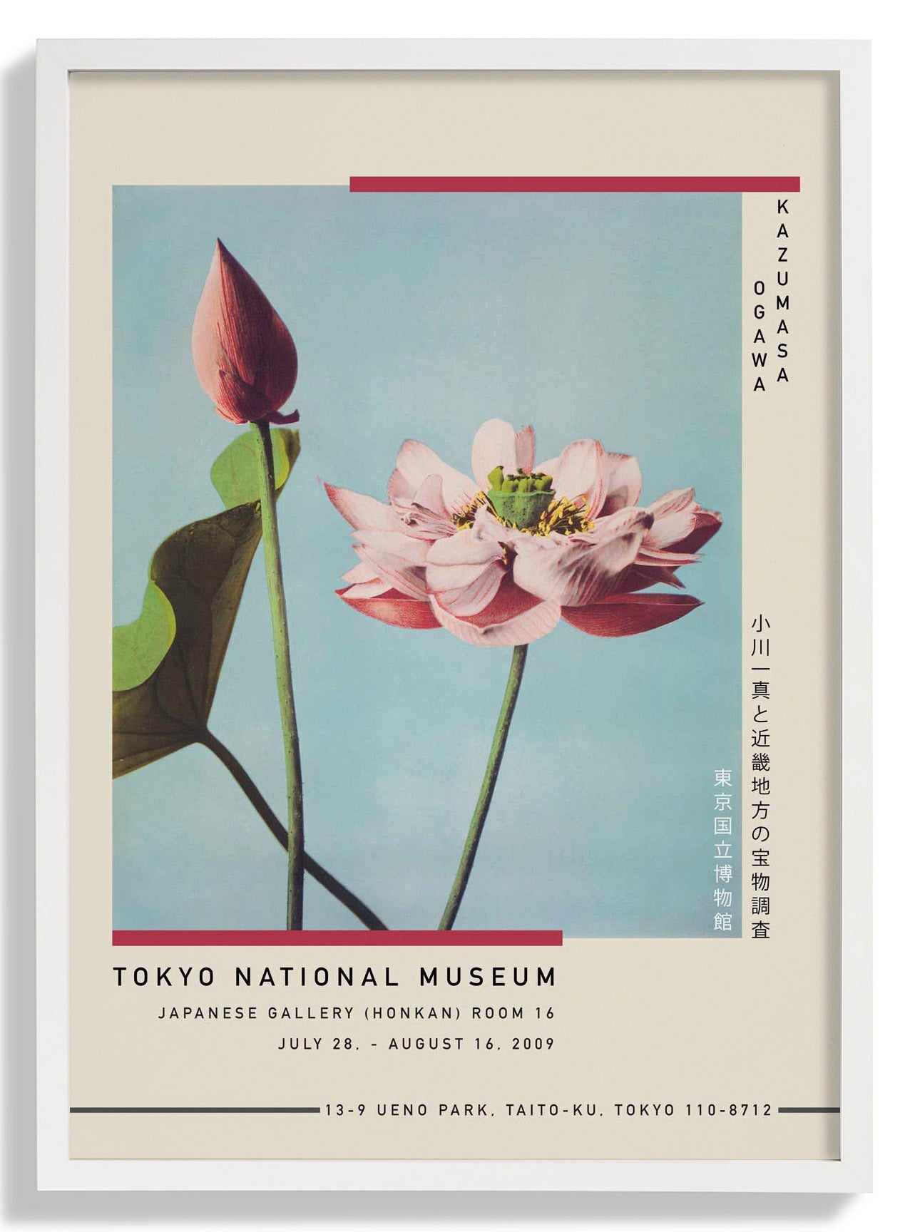 Lotus Flower by Kazumasa Exhibition