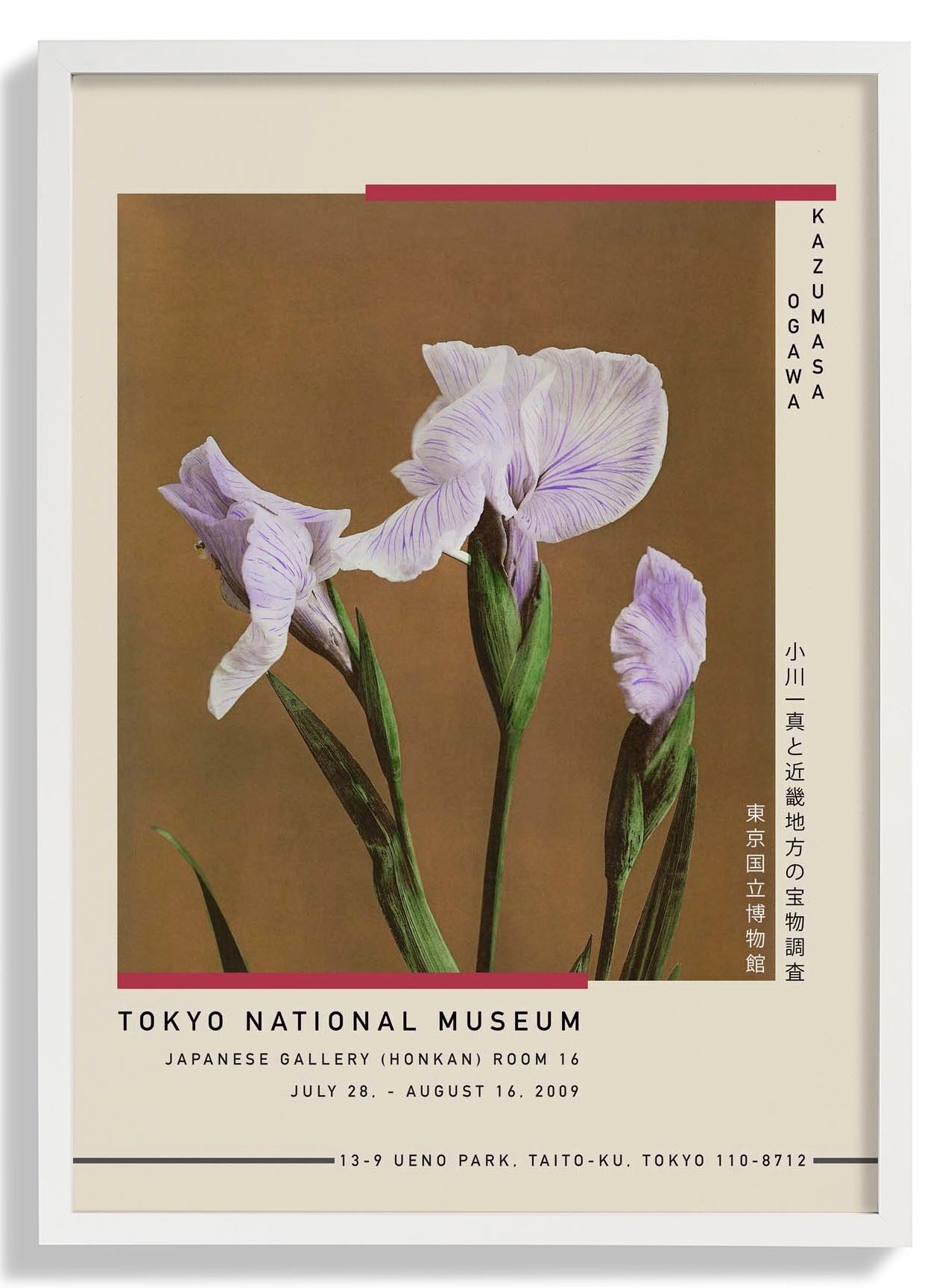 Three Iris Kæmpferi by Kazumasa Exhibition