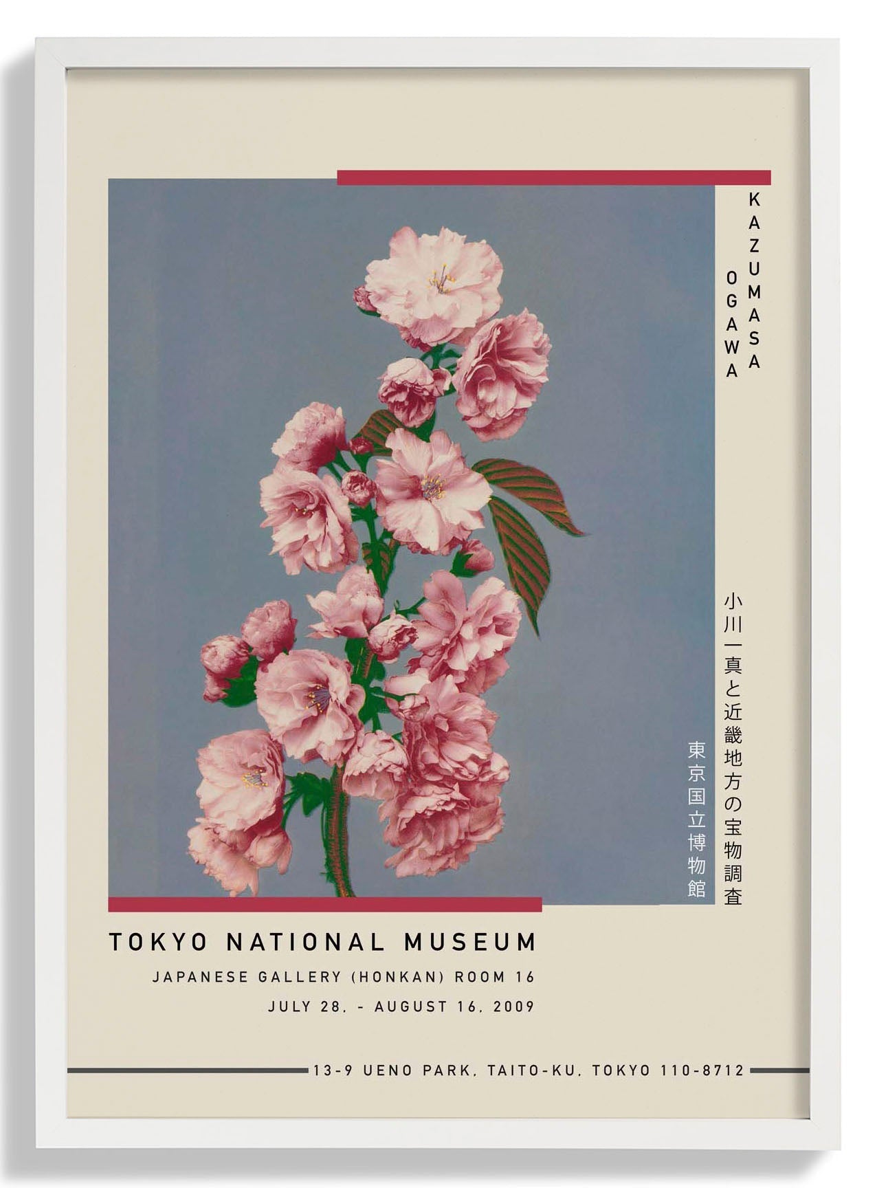 Cherry Blossom by Kazumasa Exhibition