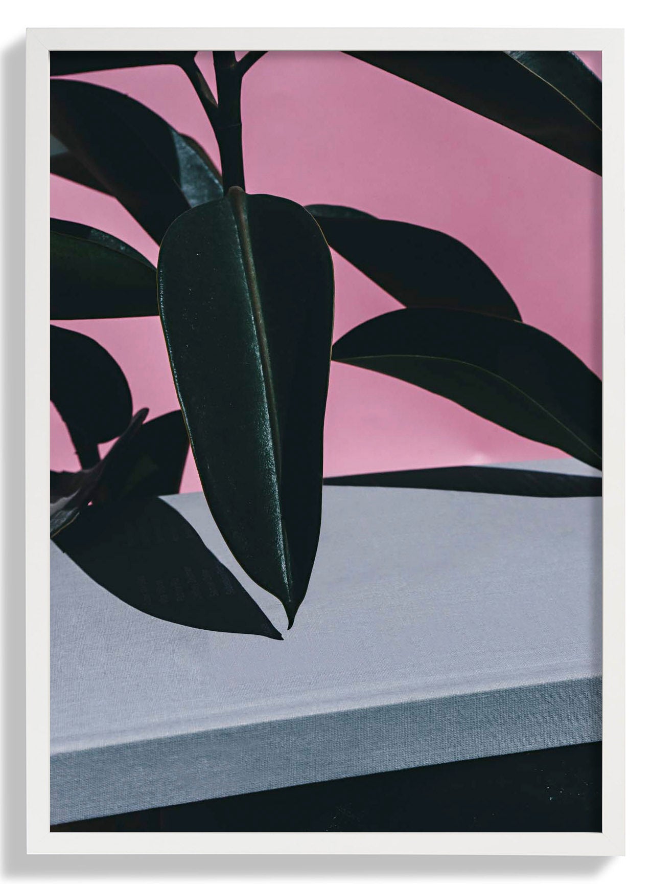 Close Up of Indoor Rubber