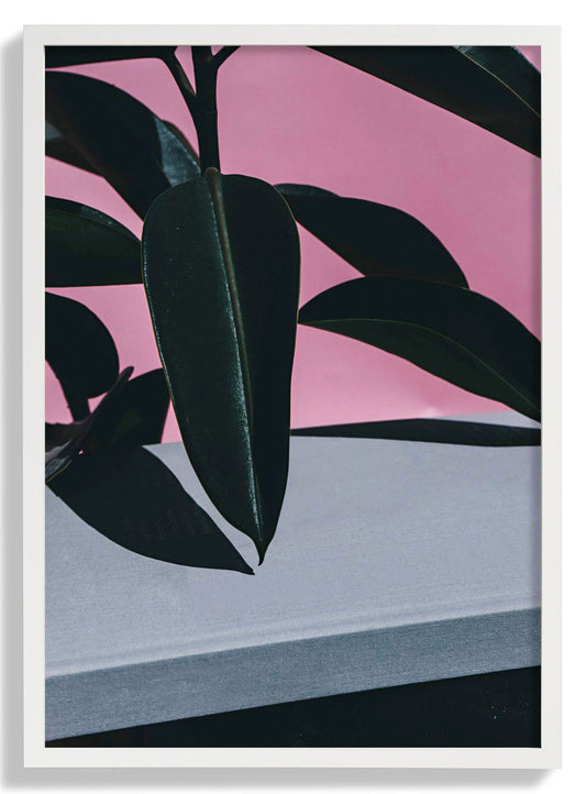 Close Up of Indoor Rubber