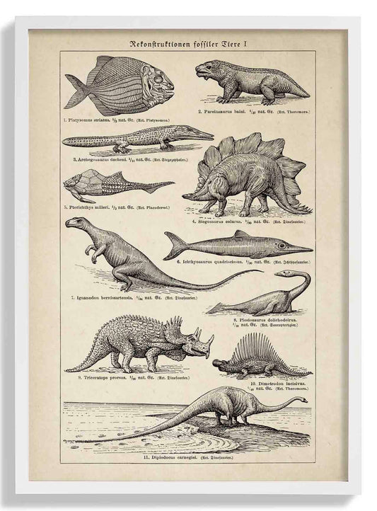 Antique Dinosaurs and Fossils