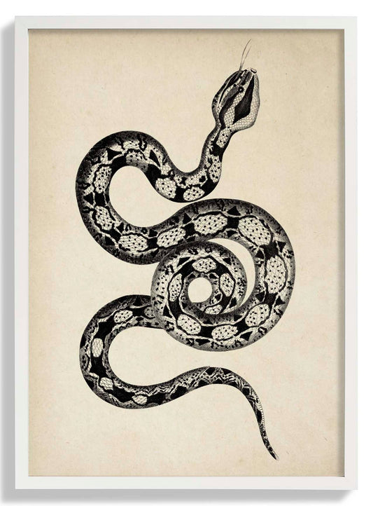 Antique Snake
