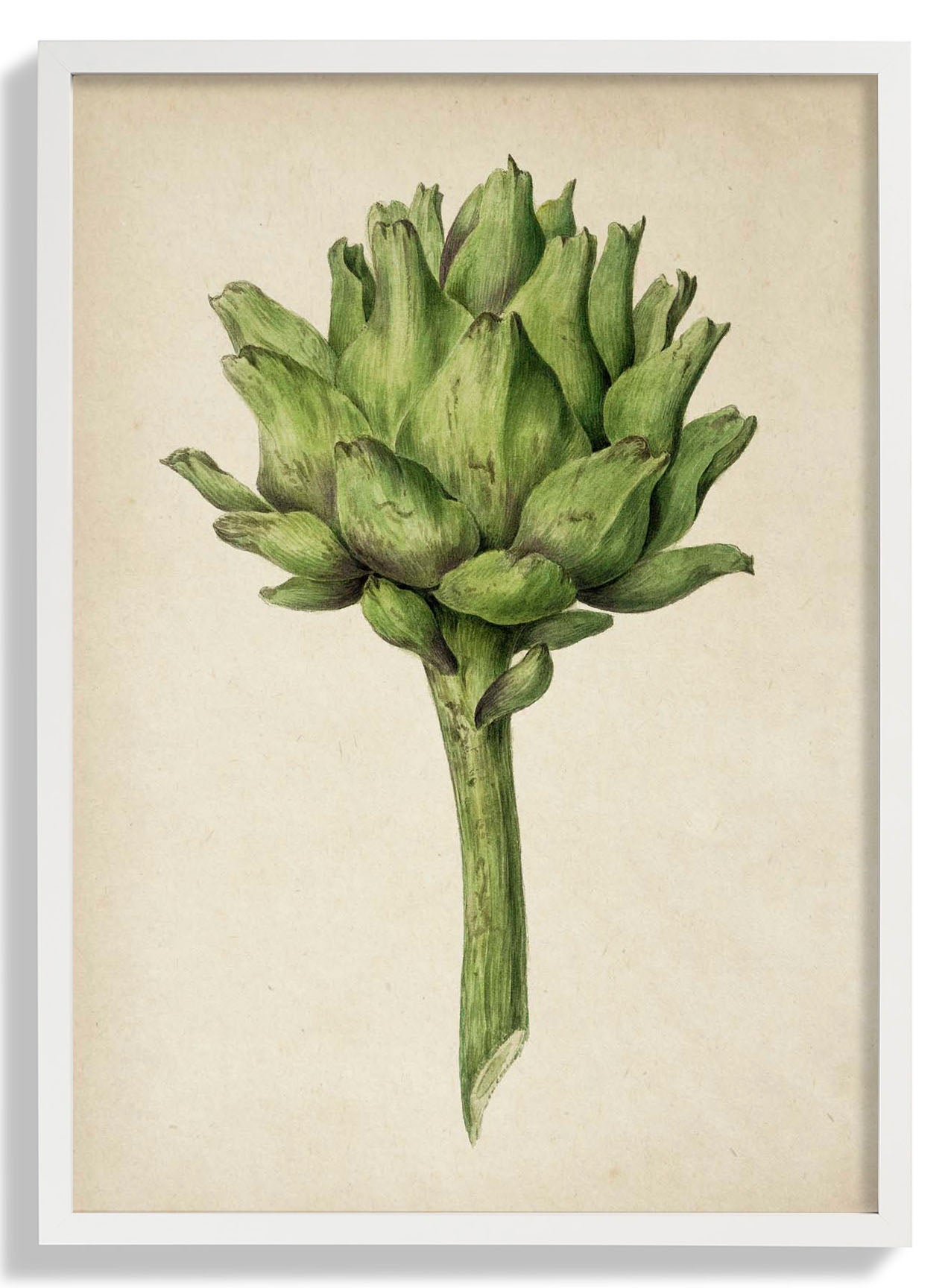 Antique Artichoke