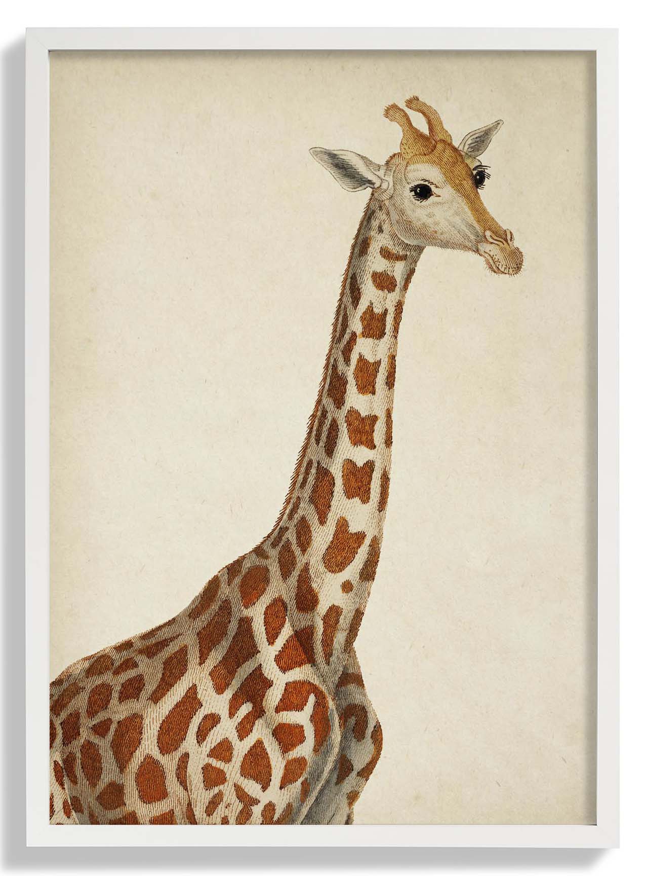 Antique Giraffe