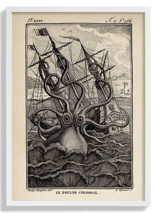 Le Poulpe Colossal