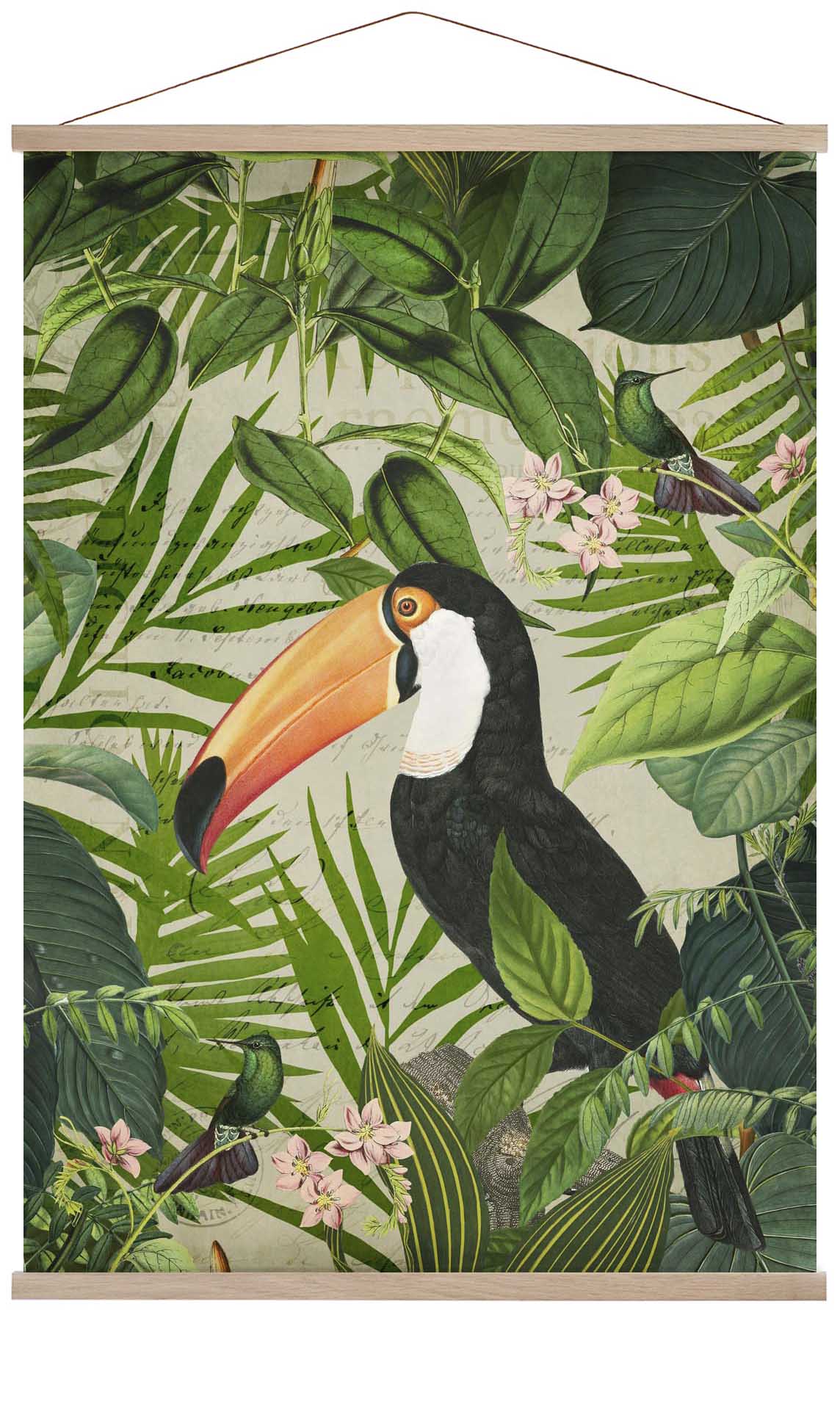 Jungle Toucan by Andrea Haase