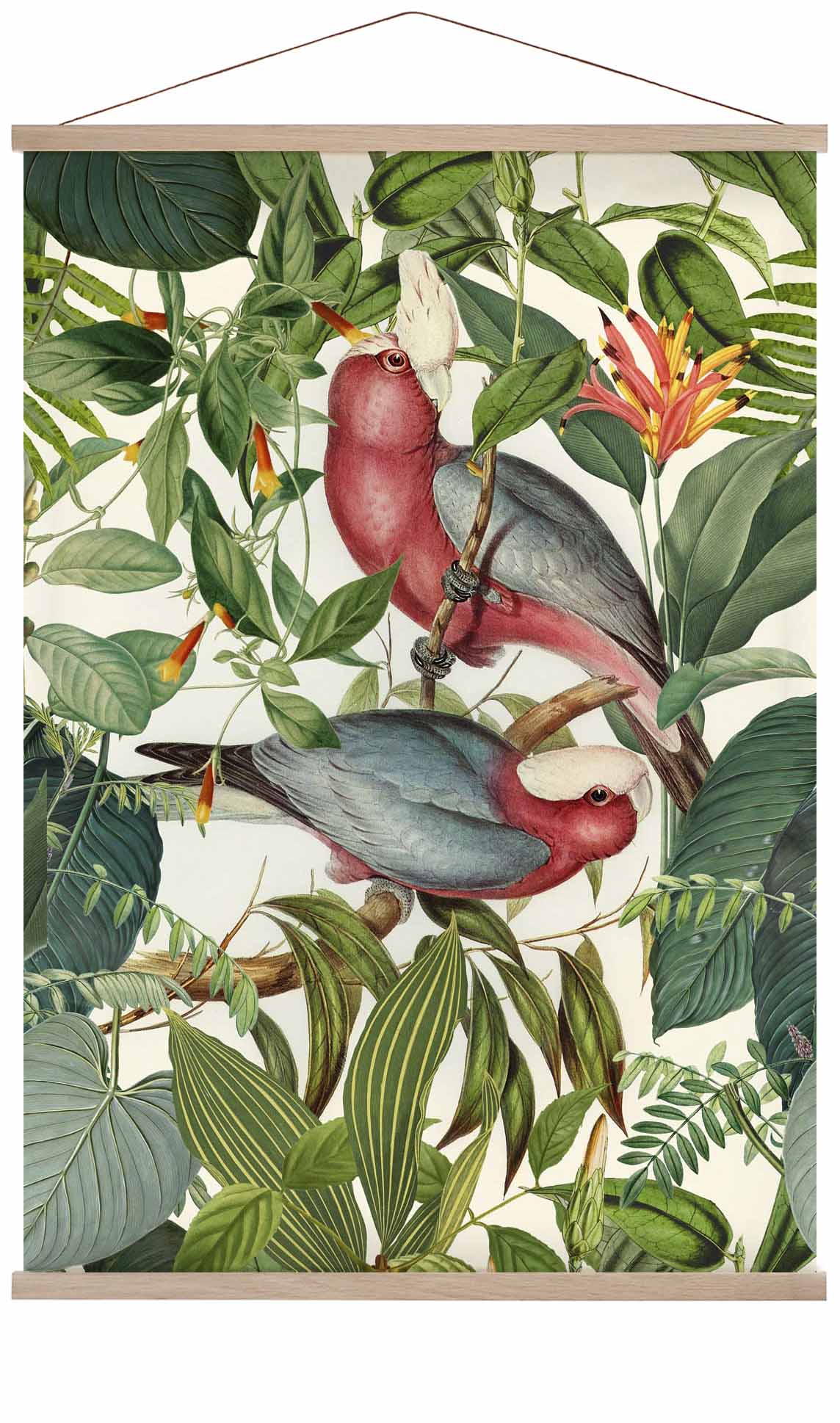 Tropische Sittiche von Andrea Haase