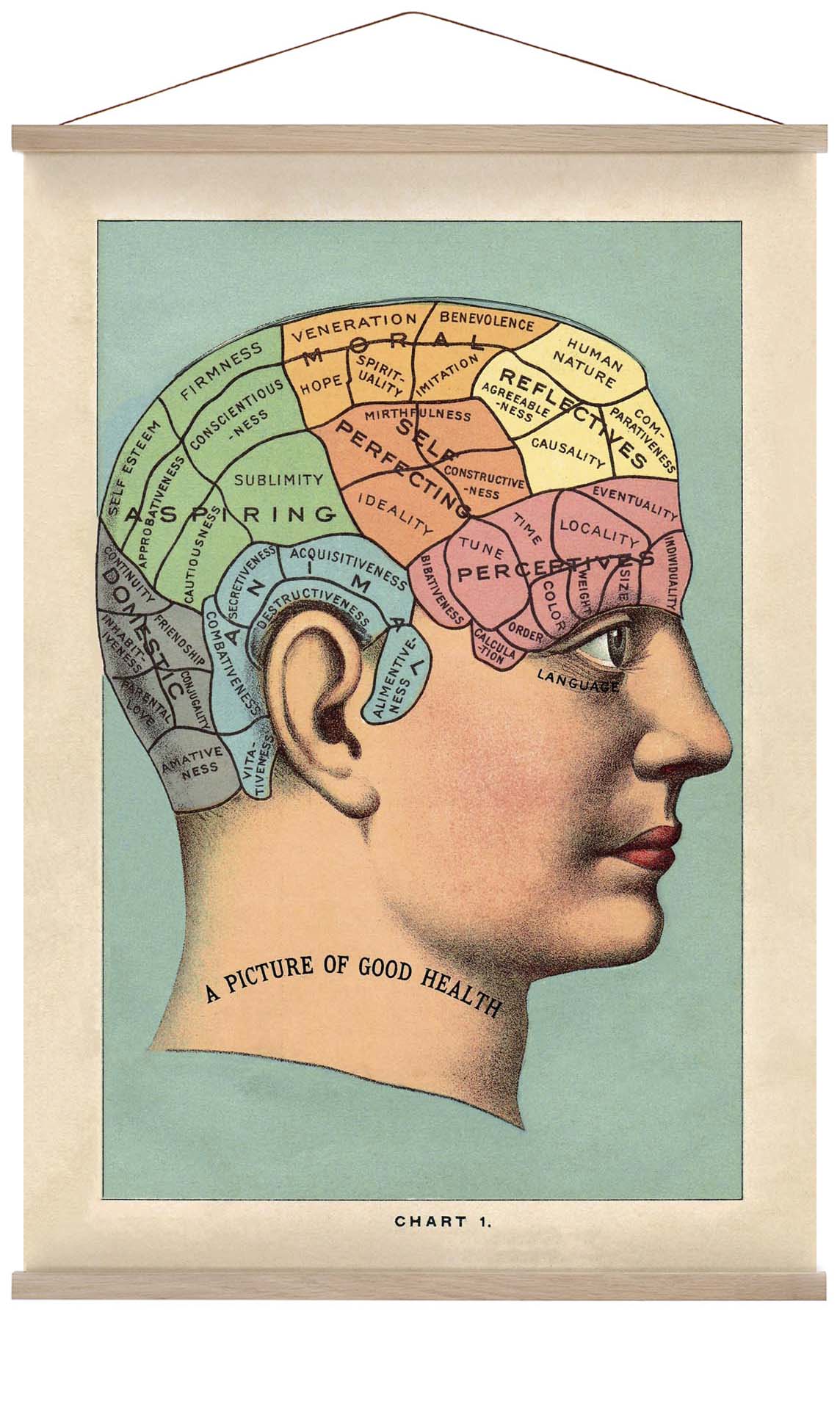 A picture of the good health