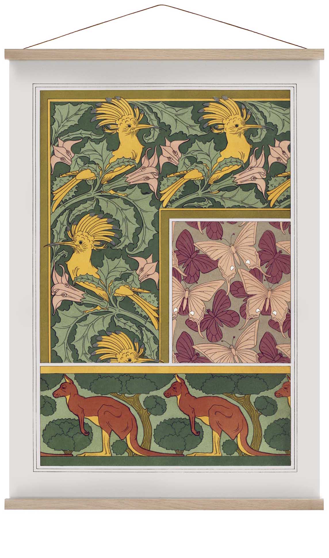 Butterflies, Birds and Kangaroos