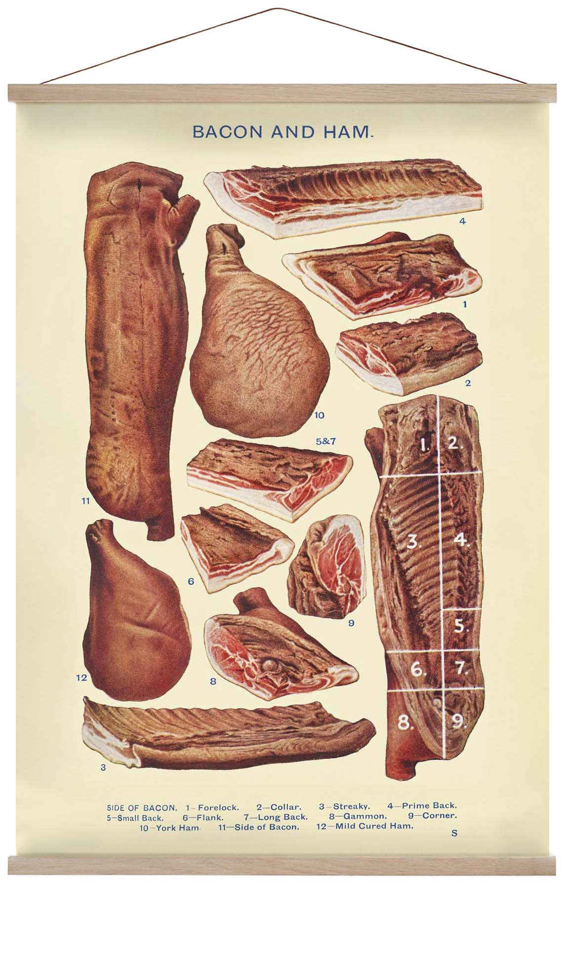 Bacon & Ham from Mrs. Beeton's Household Management