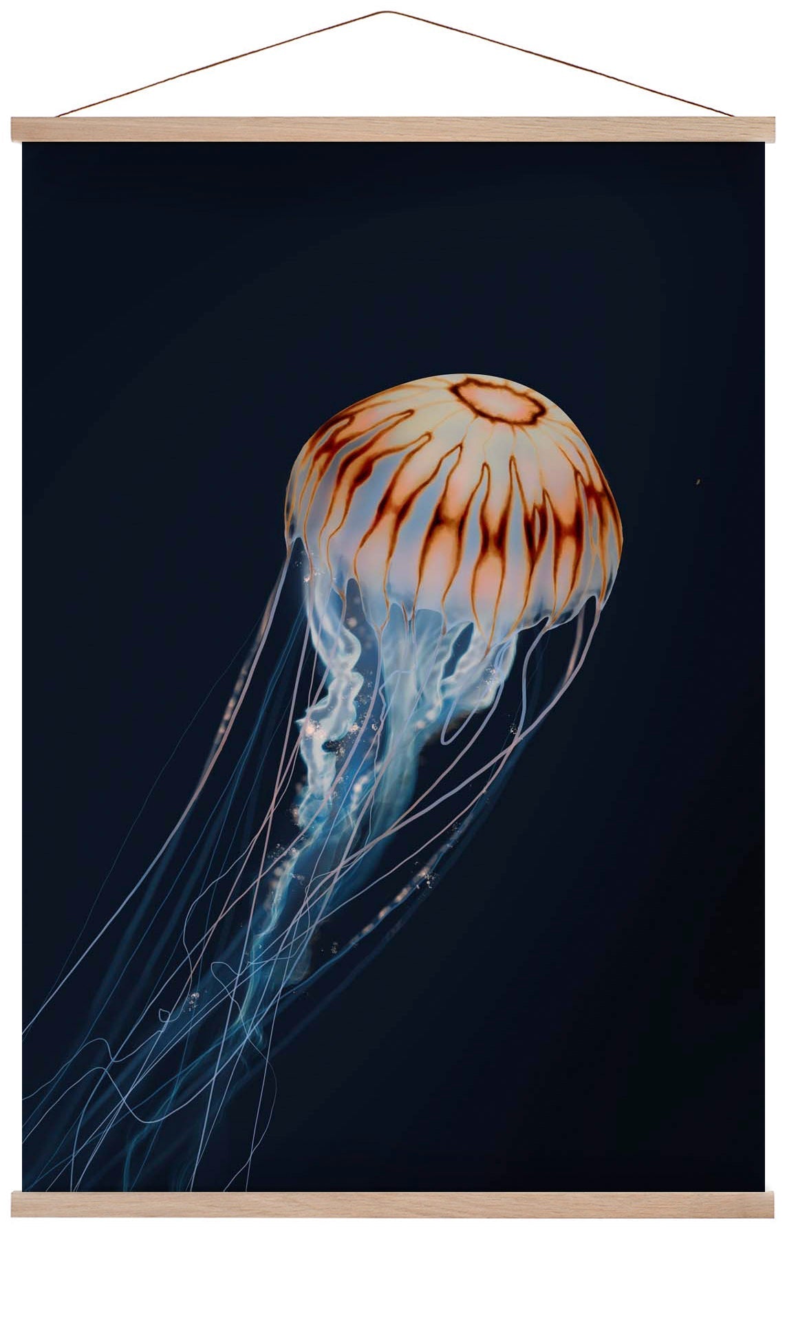 Sparkling Horizon Jellyfish by Julia Charlott