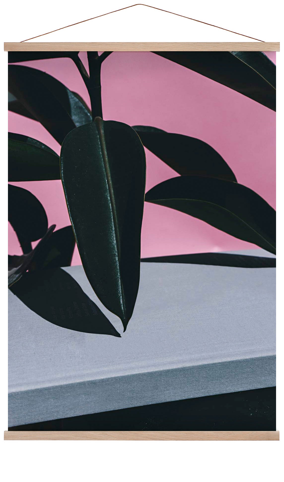 Close Up of Indoor Rubber