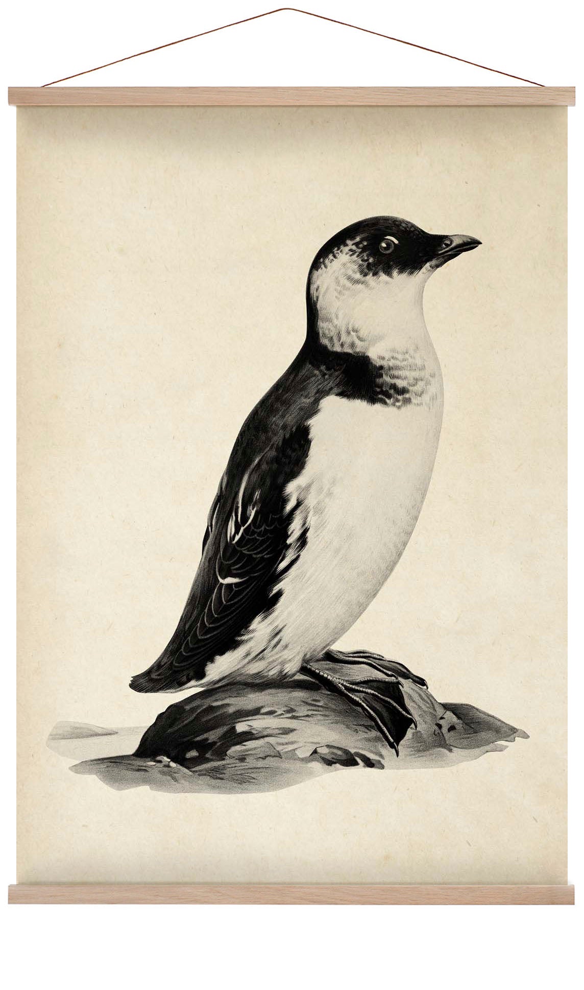 Antique Penguin