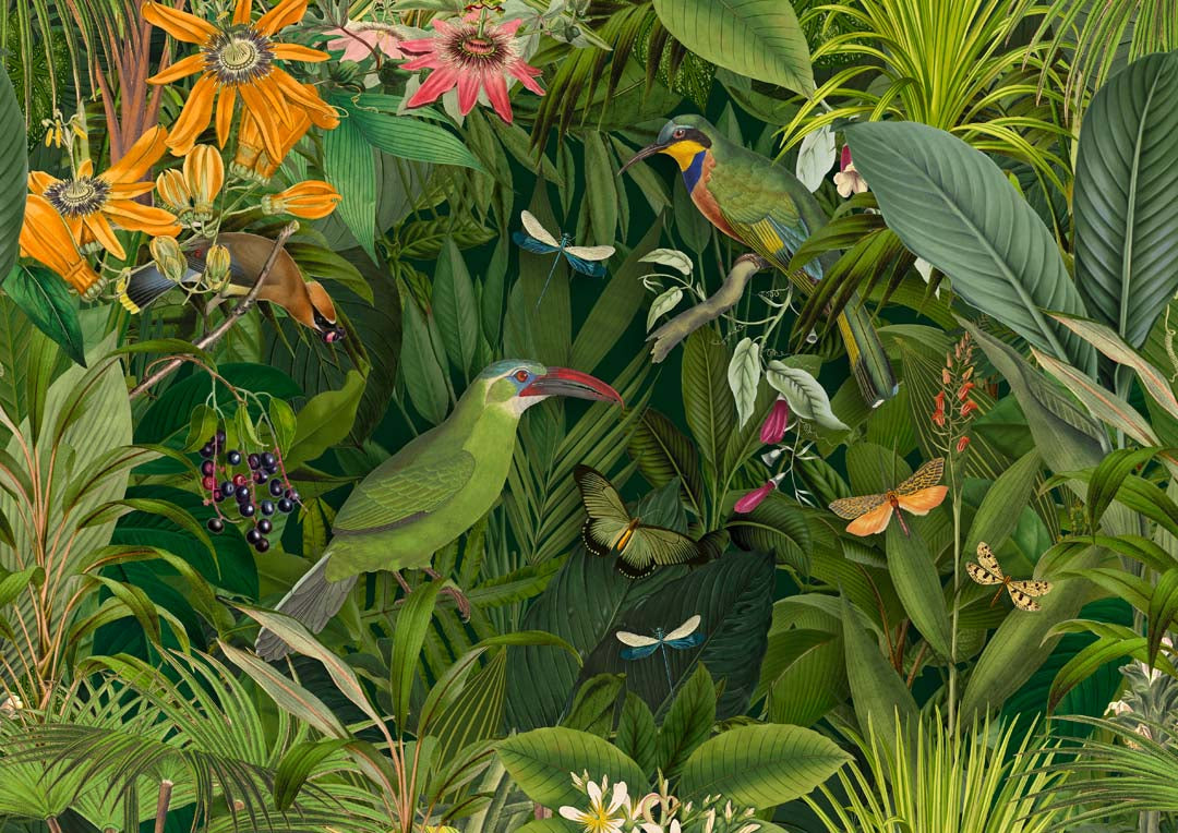 Tropische Mitternachts-Dschungelvögel von Andrea Haase