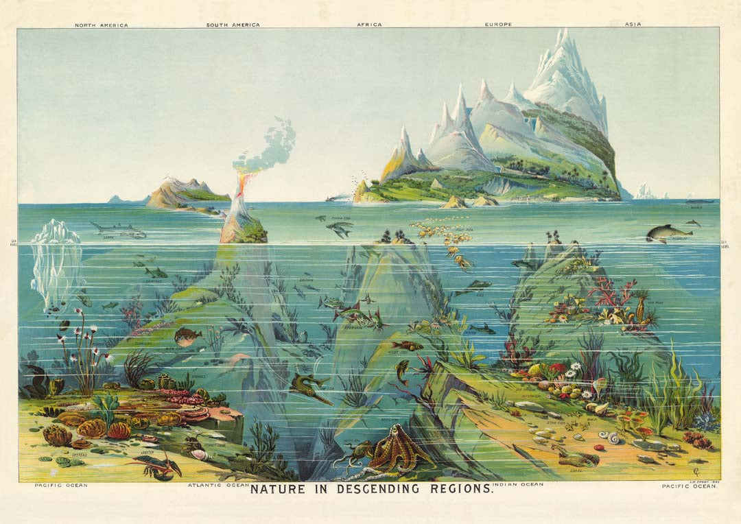 Natur in absteigenden Regionen Bildungsjahrgang