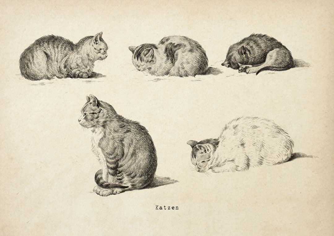 Antique Cats