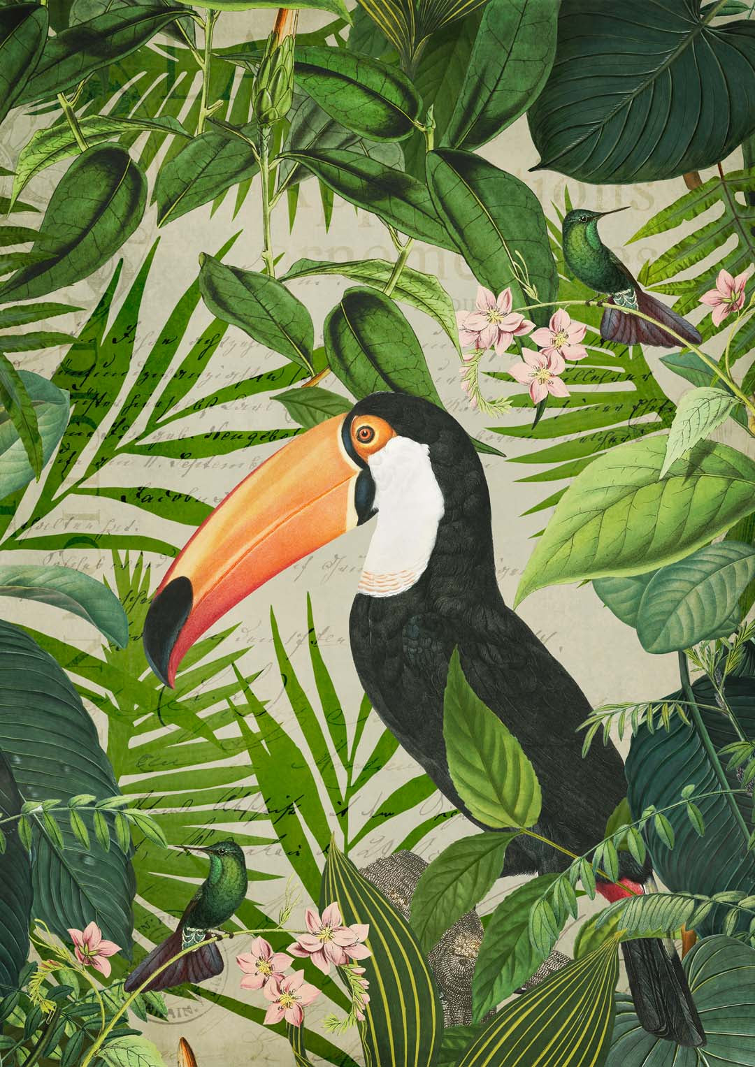 Jungle Toucan by Andrea Haase