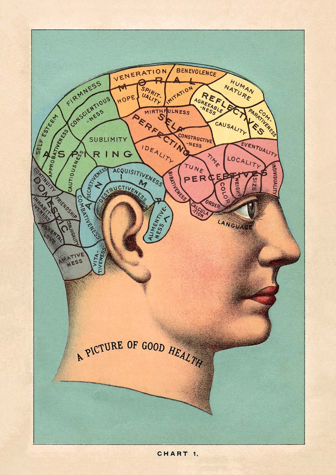 A picture of the good health