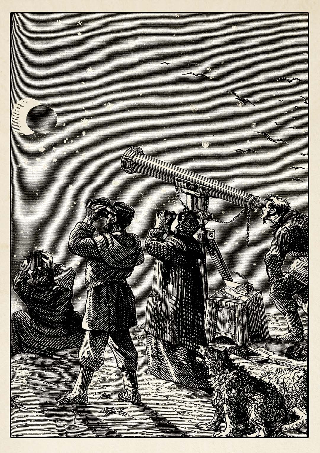 Curious People - Vintage