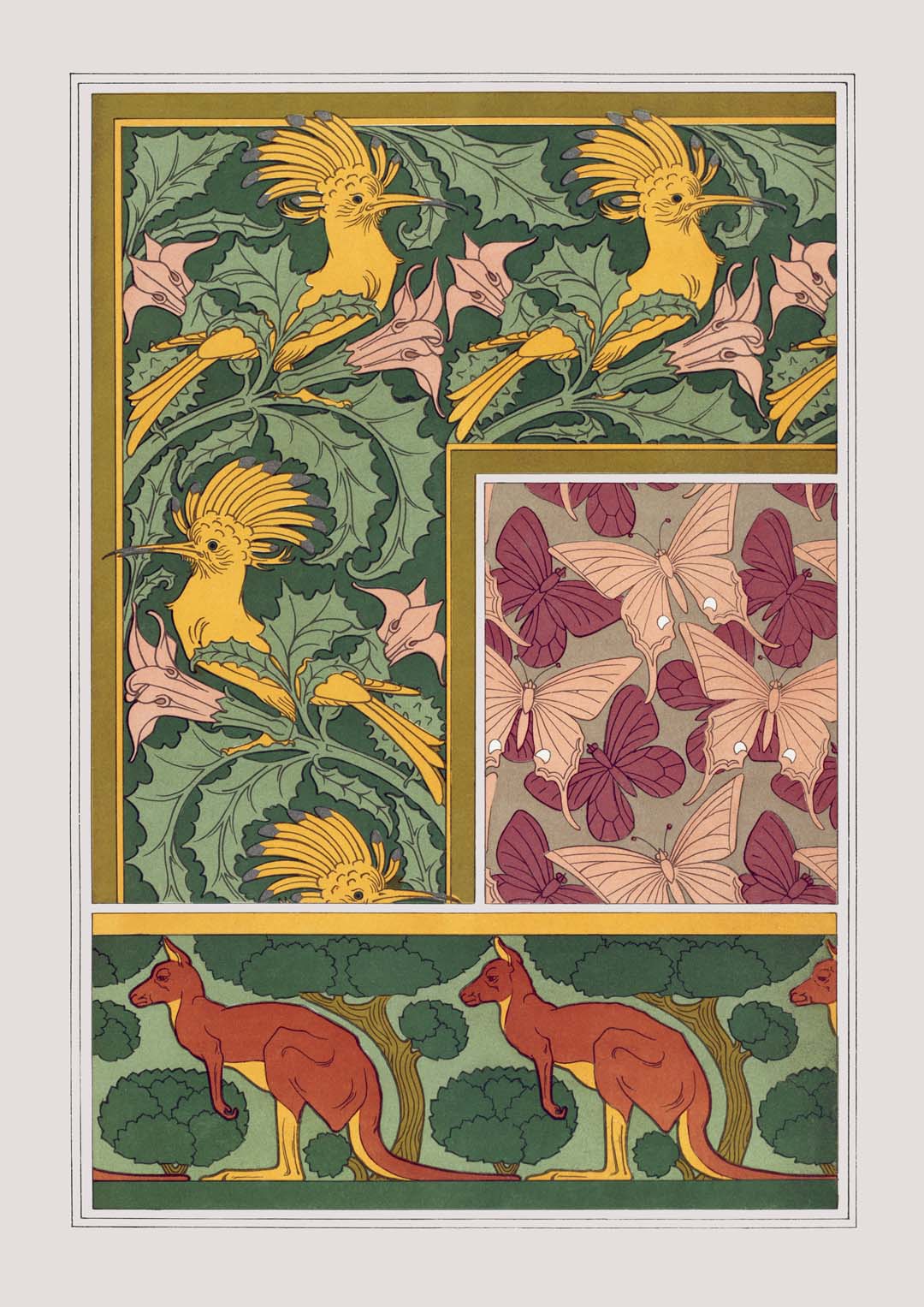 Butterflies, Birds and Kangaroos