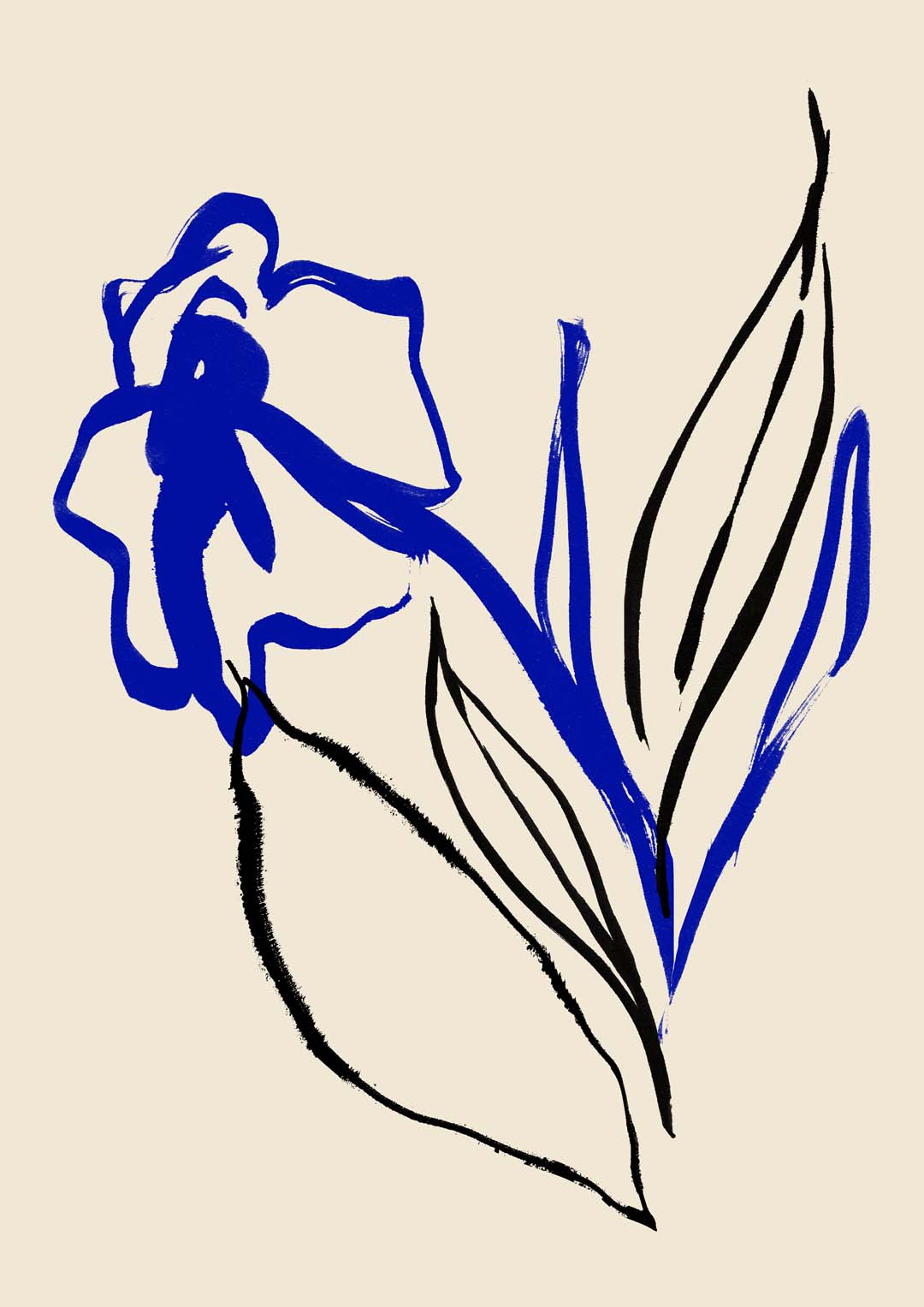 Blue and Black lines