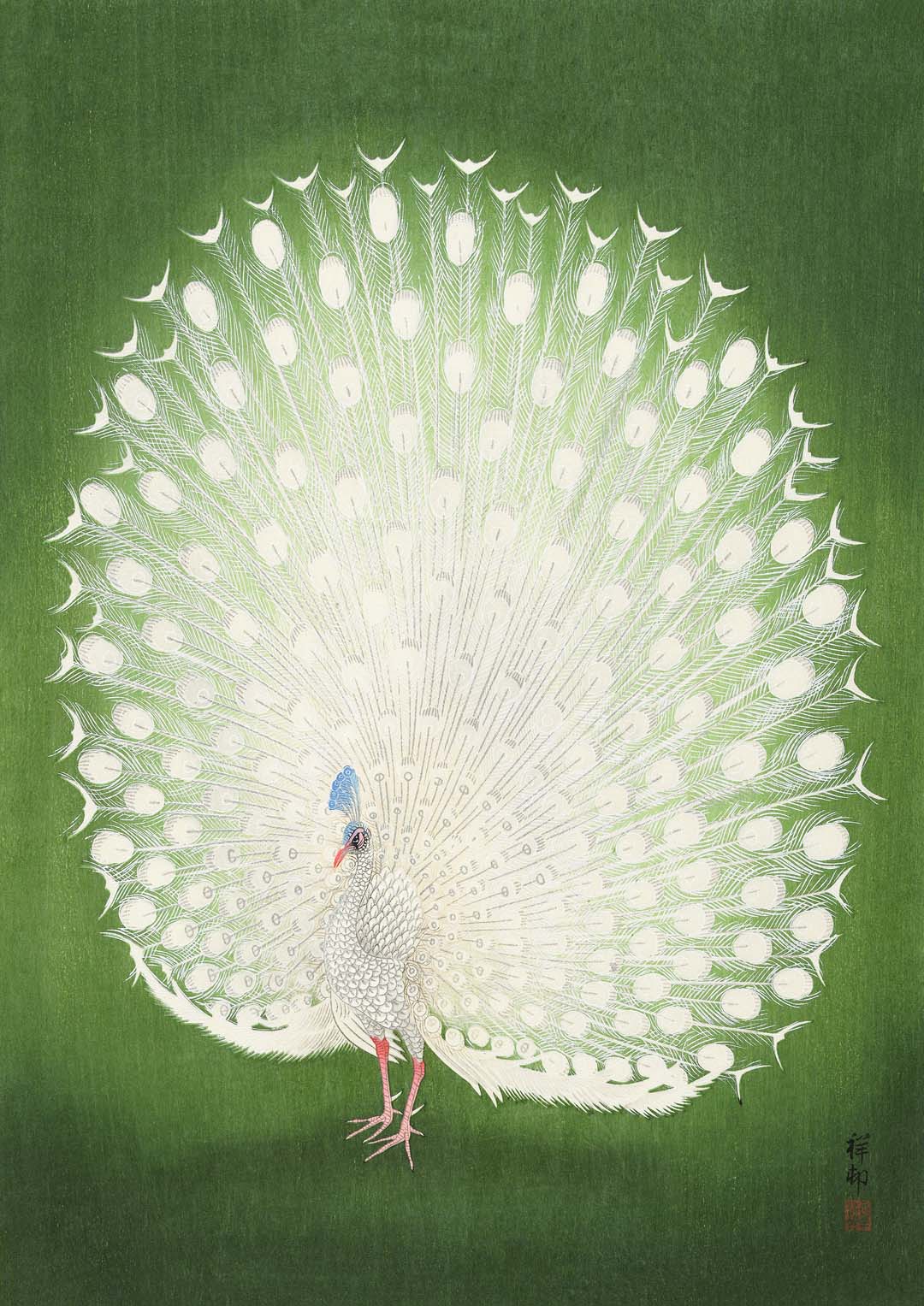 Green Peacock by Koson