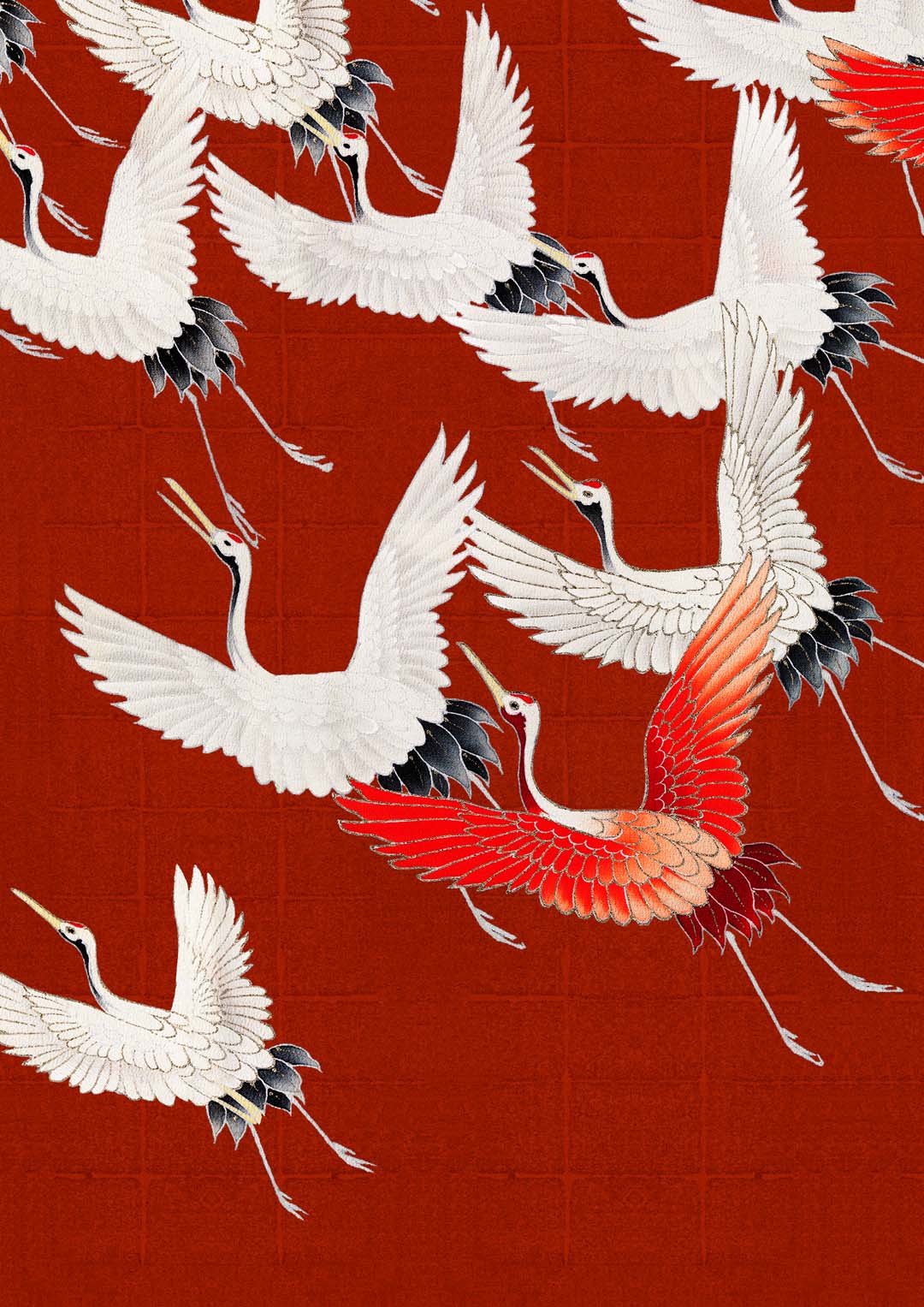 White Cranes in Red