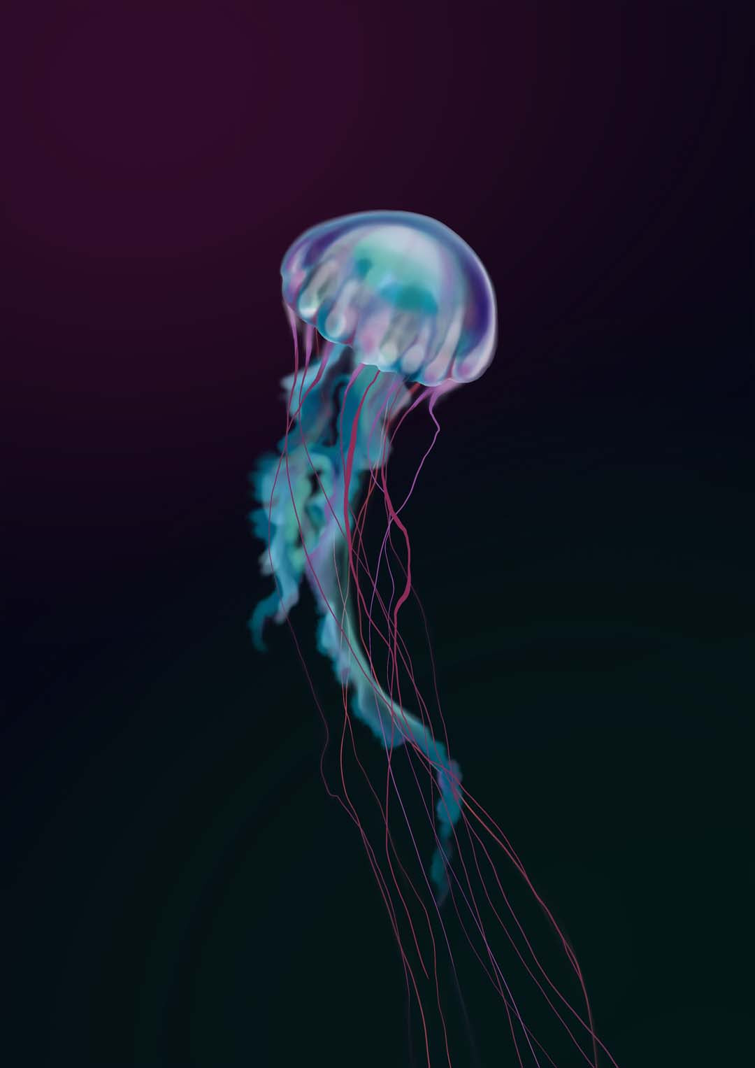 Blooming Soul Jellyfish by Julia Charlott