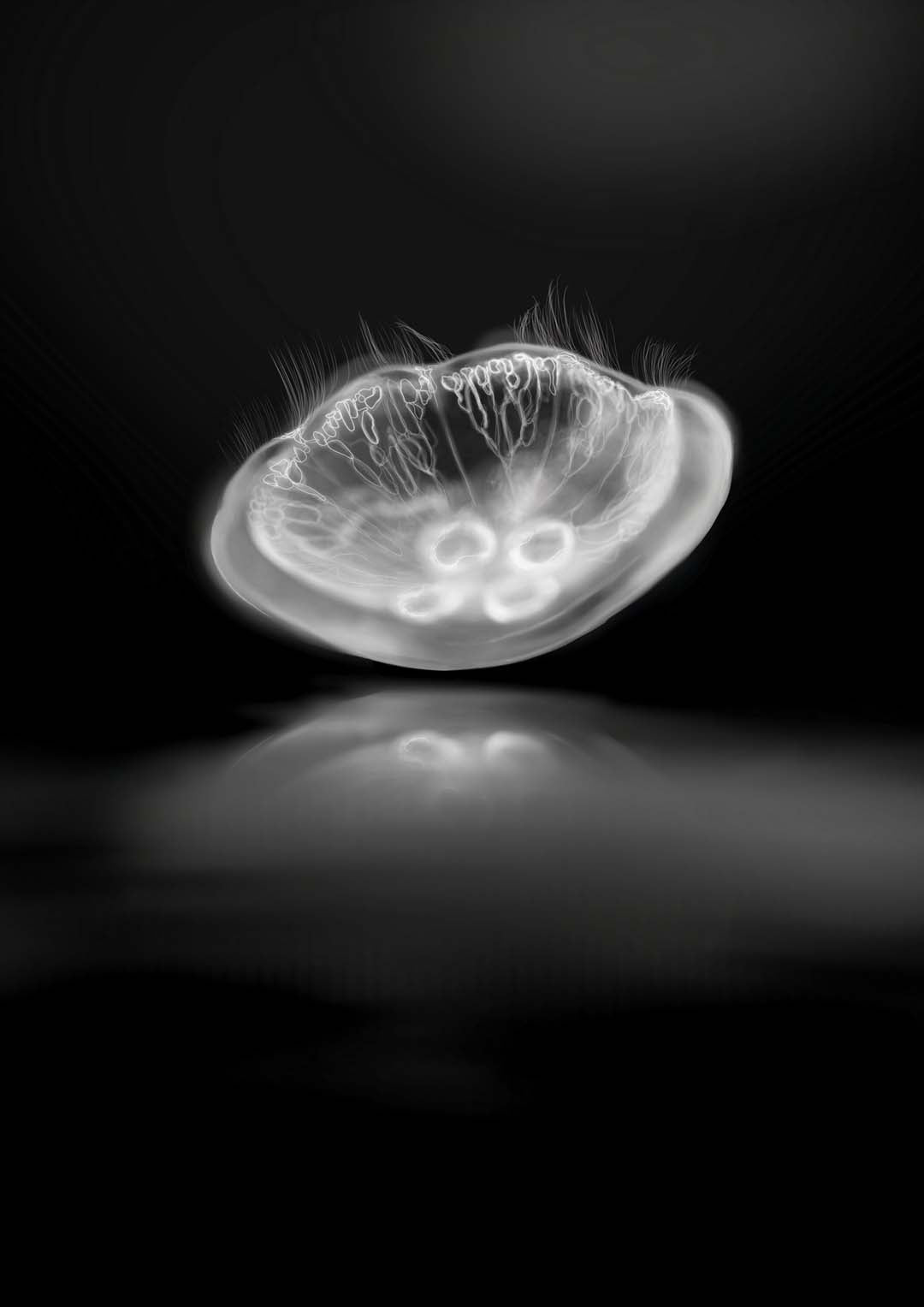 Monochrome Mirror by Julia Charlott