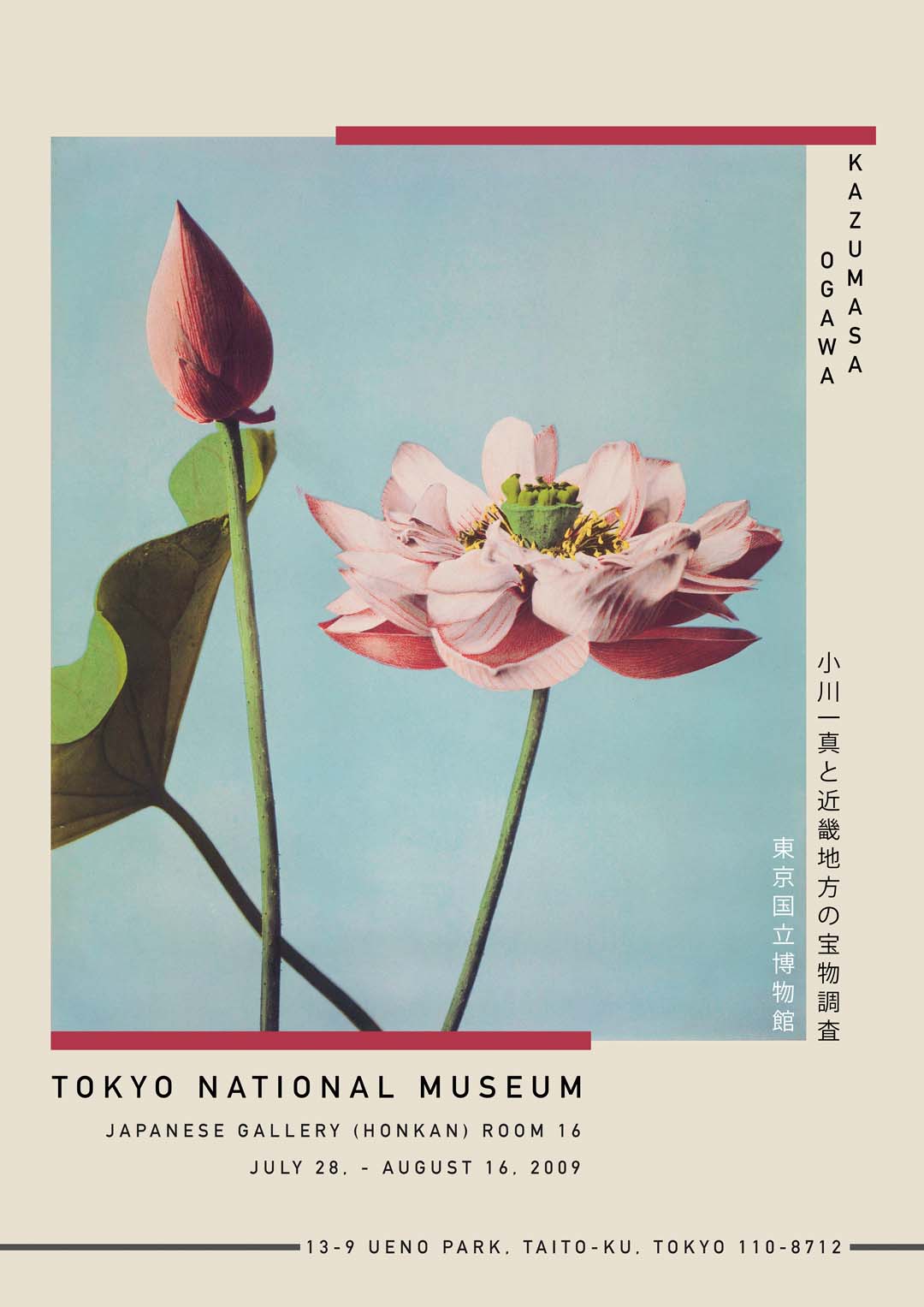 Lotus Flower by Kazumasa Exhibition